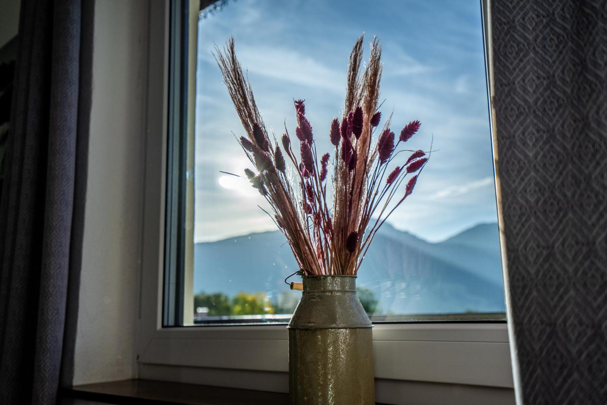 Tiroler Alpblick Appartements Ehrwald Eksteriør billede
